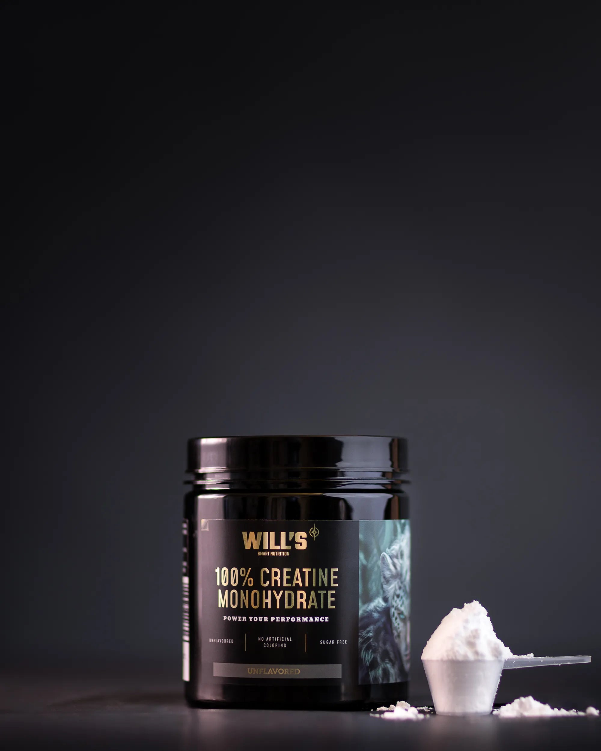 100% Creatine Monohydrate